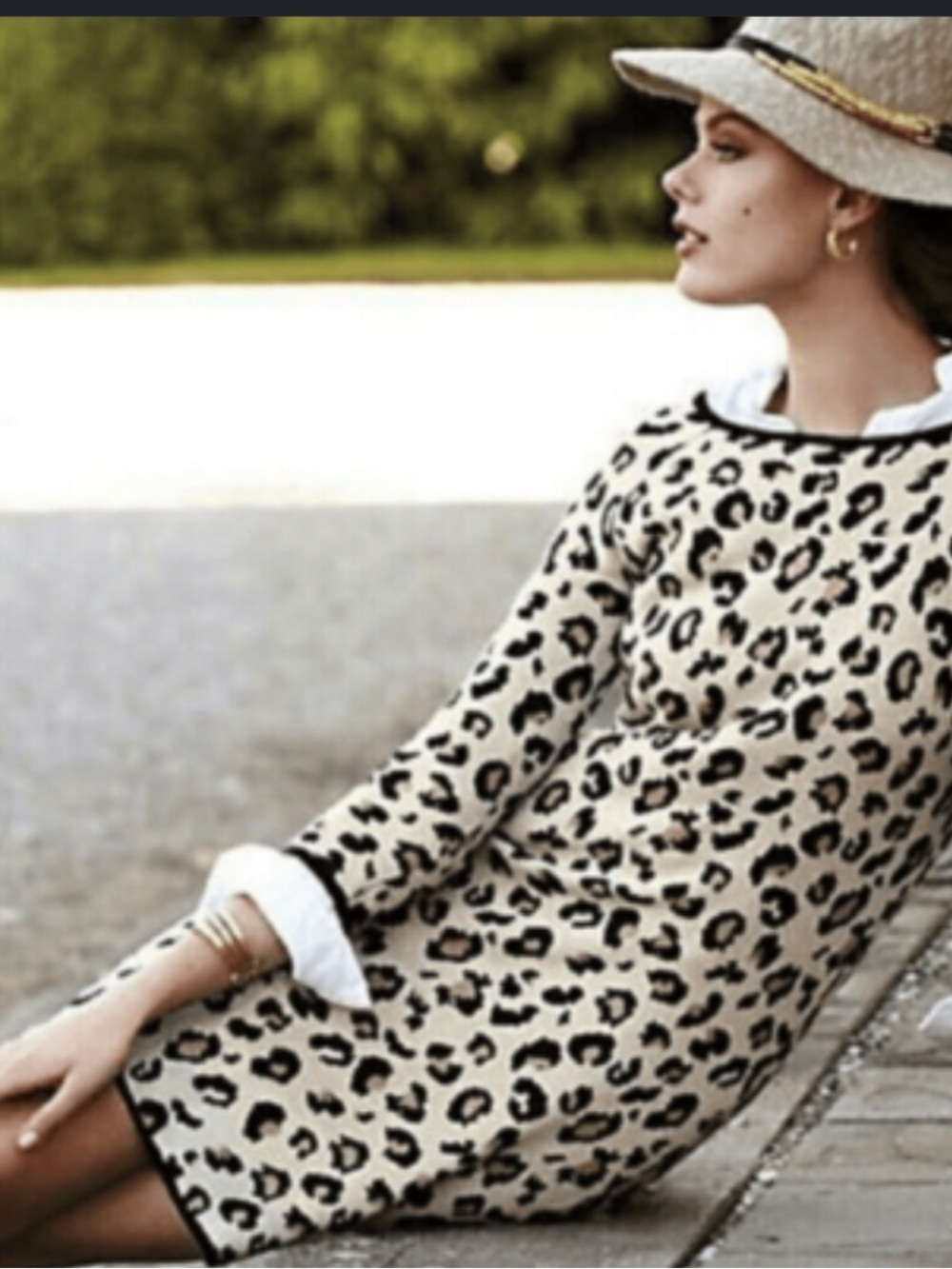 Velvet by Graham & Spencer Leopard Print Knit Top in Cream, Black and Tan